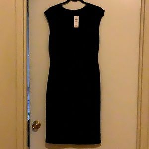 New*Limited Edition Banana Republic Petite Exclusive Black Dress! Size 10P
